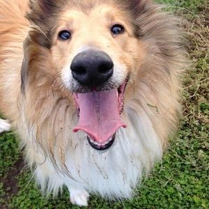 Meet your Posher, Marie